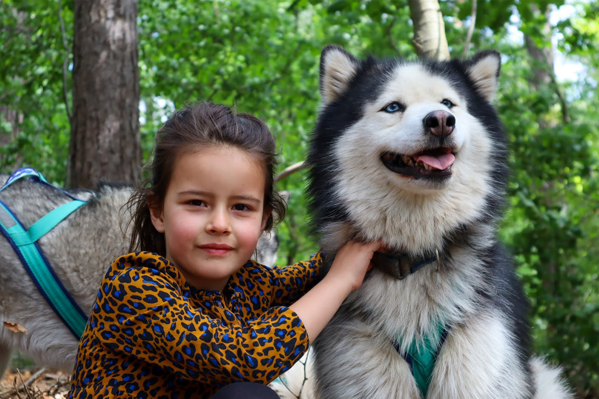 Dutch Husky Experience + High Tea