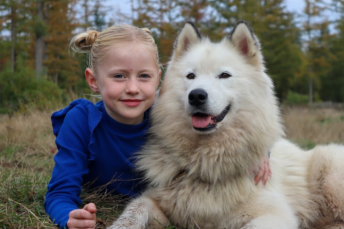 Dutch Husky Experience + High Tea