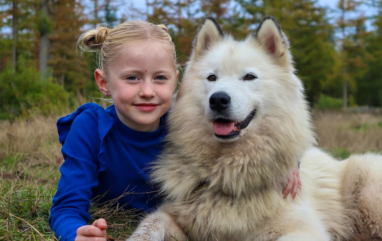 Dutch Husky Experience + High Tea