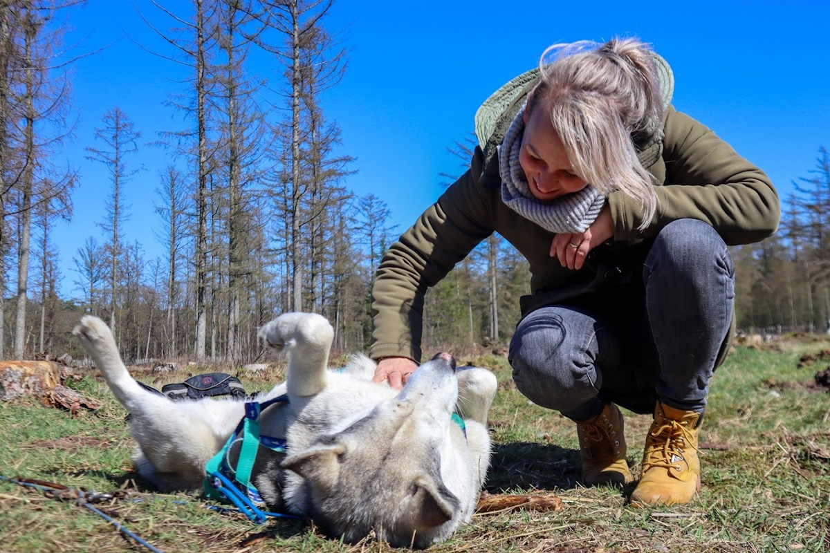 Dutch Husky Experience + High Tea