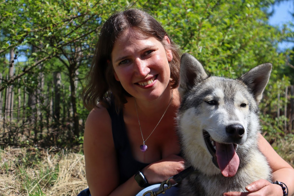 Dutch Husky Experience + High Tea