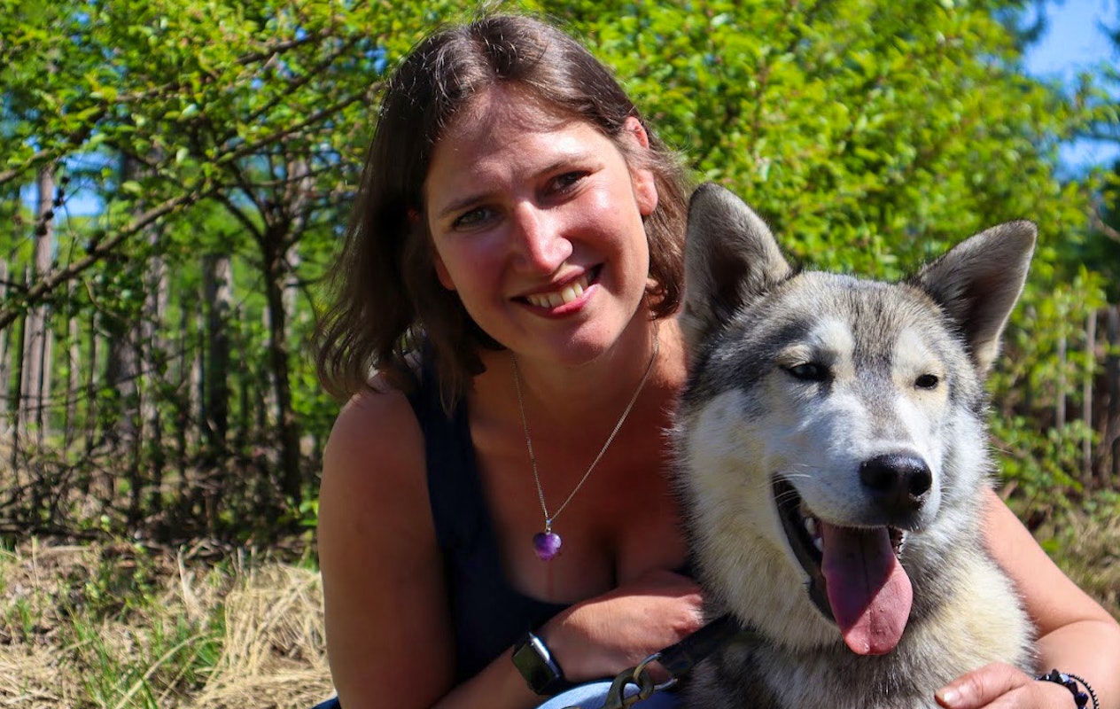 Dutch Husky Experience + High Tea
