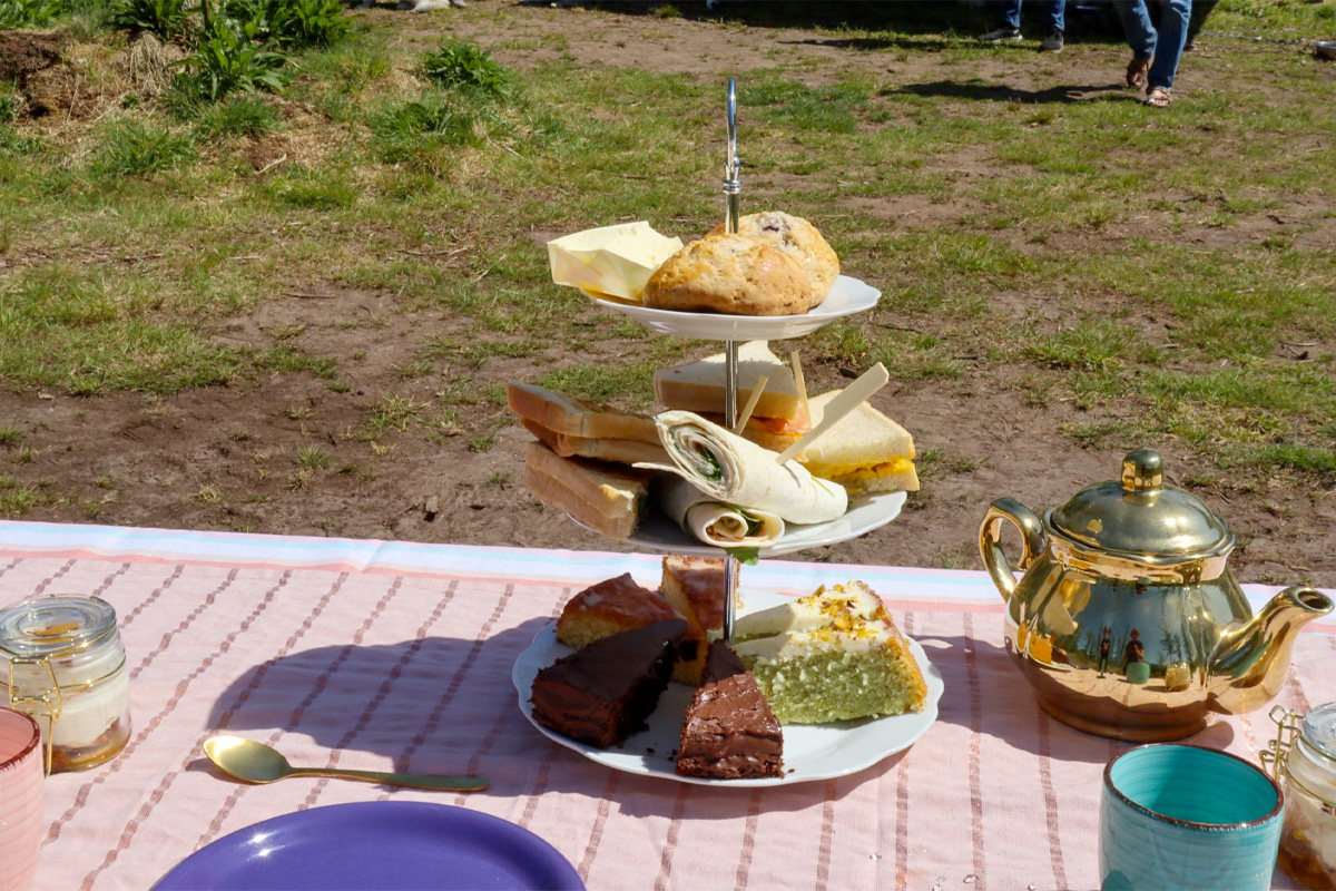 Dutch Husky Experience + High Tea