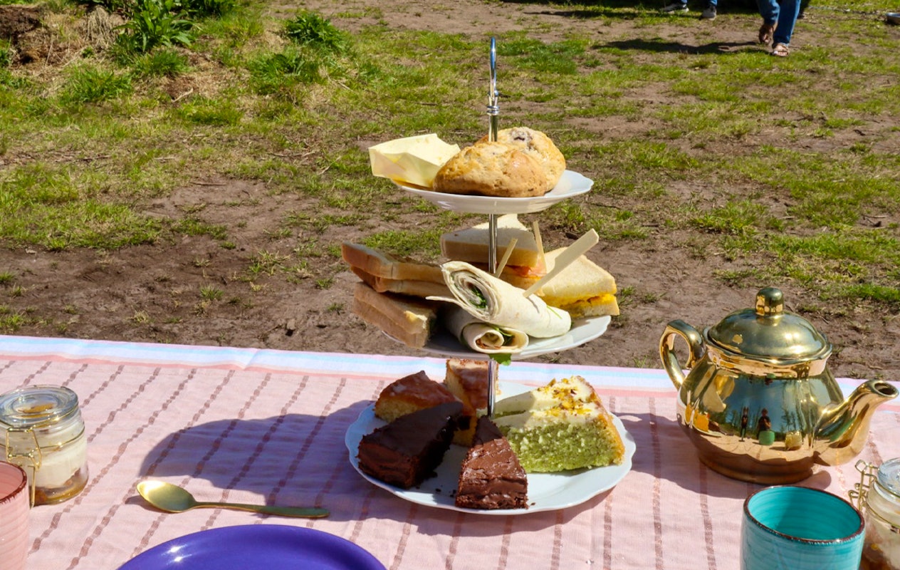 Dutch Husky Experience + High Tea