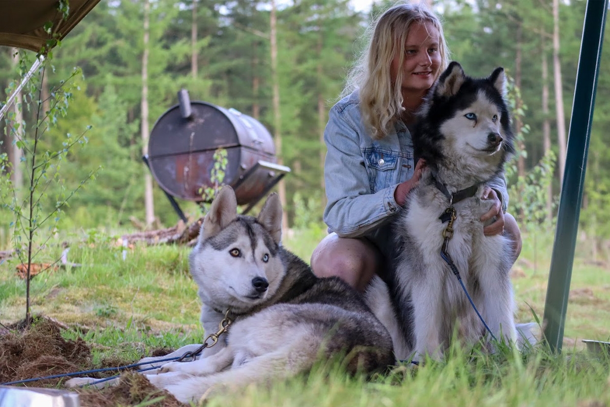 Dutch Husky Experience + High Tea