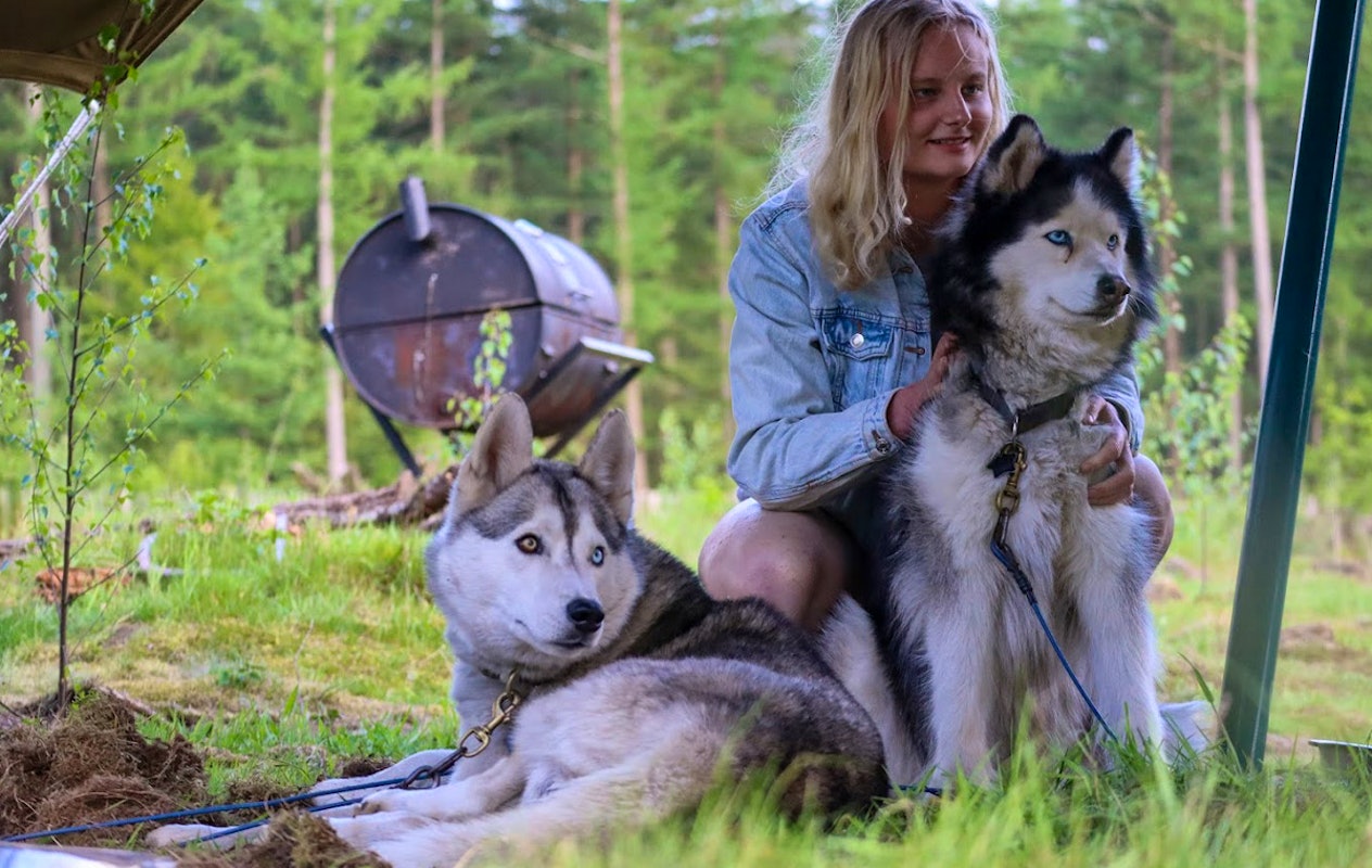 Dutch Husky Experience + High Tea
