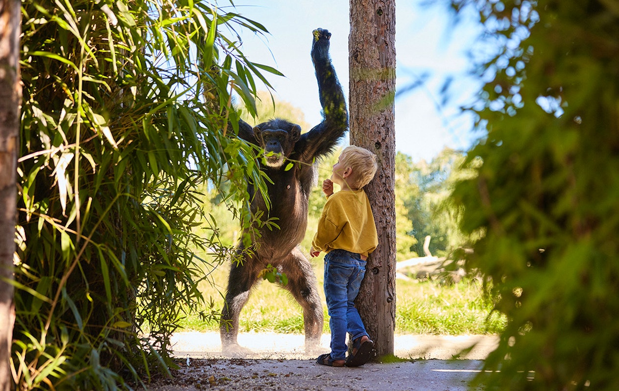 Entreeticket Eindhoven Zoo
