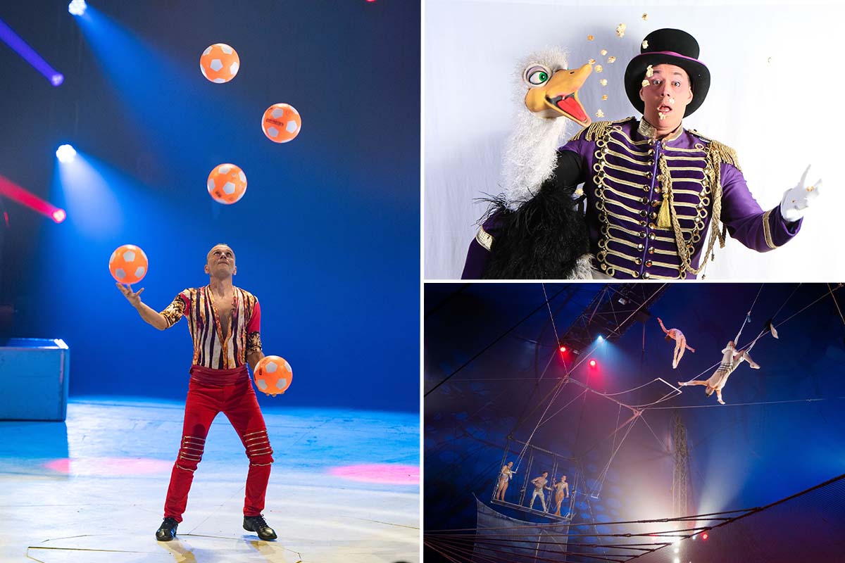 Billet en tribune Circus Chapito