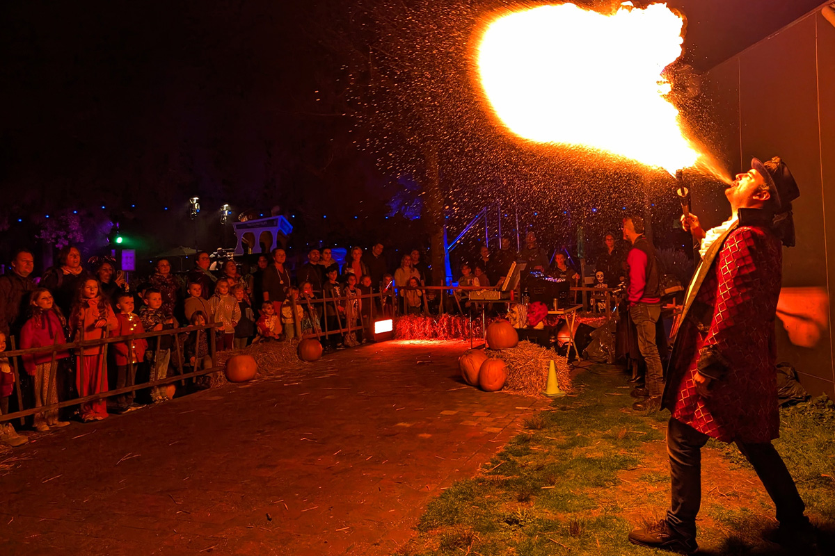 Entreeticket DippieBoe bij Attractiepark DippieDoe