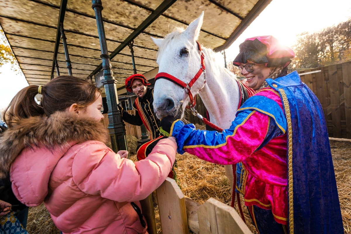 Toegangsticket Landgoed van Sinterklaas op Duinrell