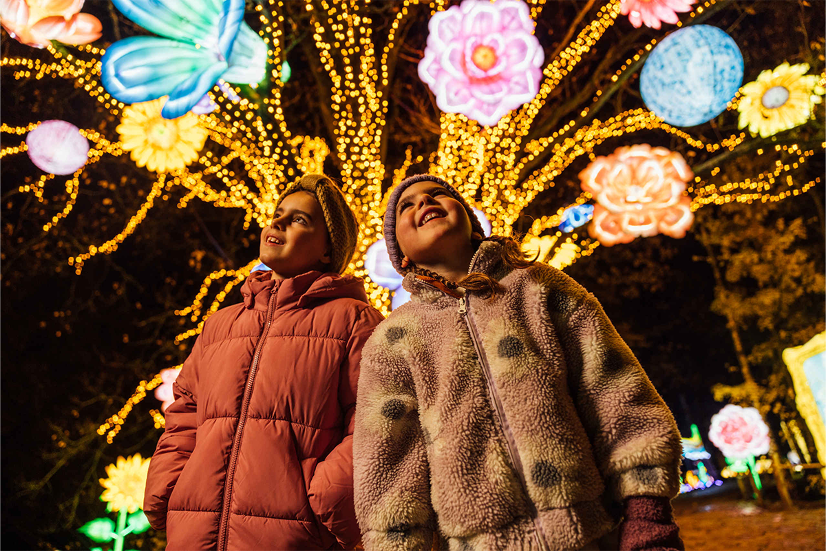 Entreeticket Light Safari Beekse Bergen