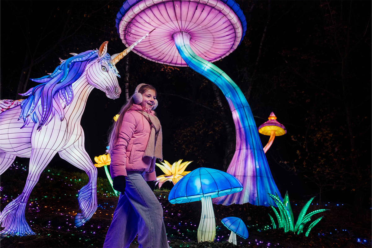 Entreeticket Light Safari Beekse Bergen
