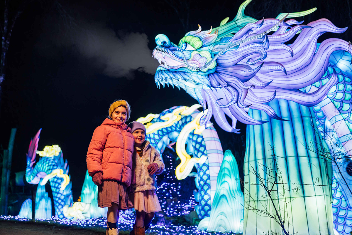 Entreeticket Light Safari Beekse Bergen