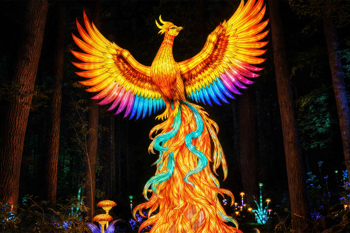 Entreeticket Light Safari Beekse Bergen