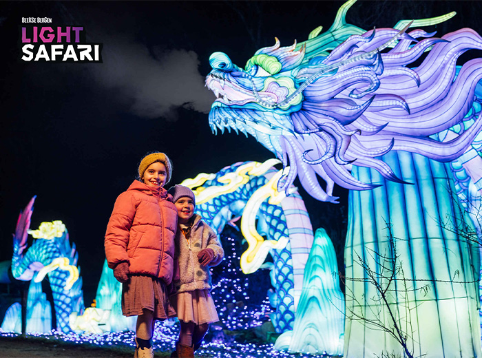Entreeticket Light Safari Beekse Bergen