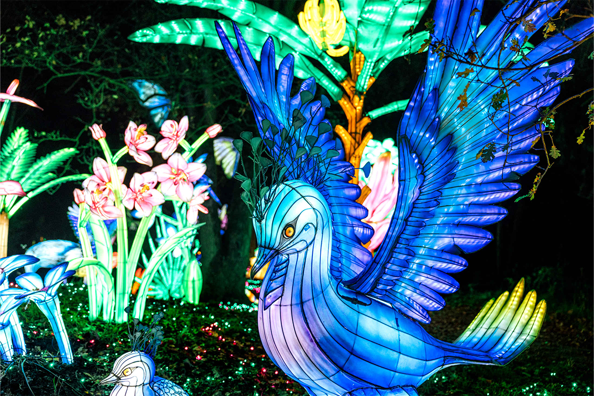 Entreeticket Light Safari Beekse Bergen