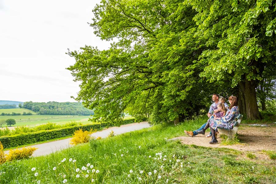 Séjour de 3 ou 4 nuits à l'EuroParcs Gulperberg (4 personnes)