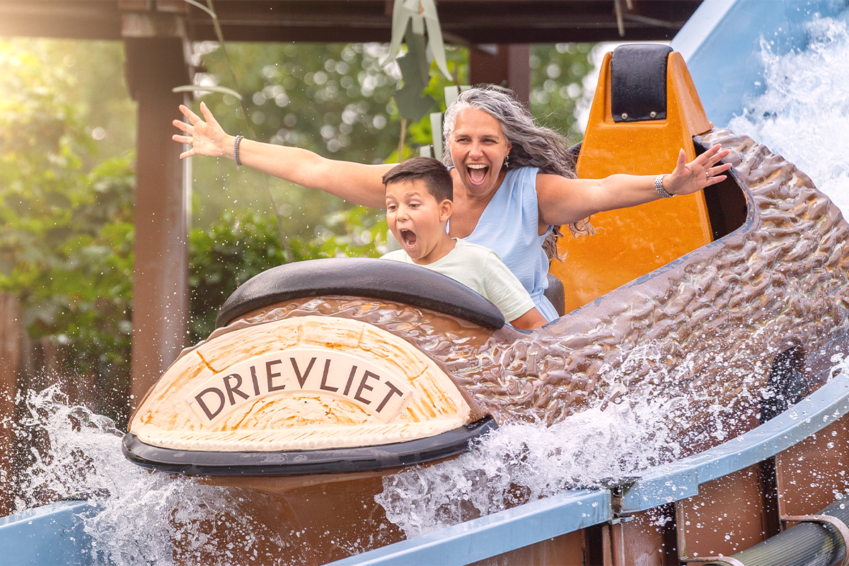 Entreeticket Familiepark Drievliet