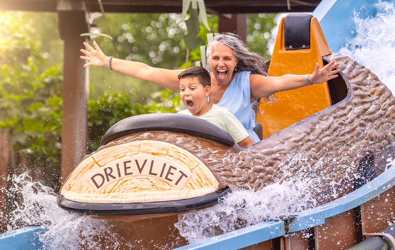 Entreeticket Familiepark Drievliet
