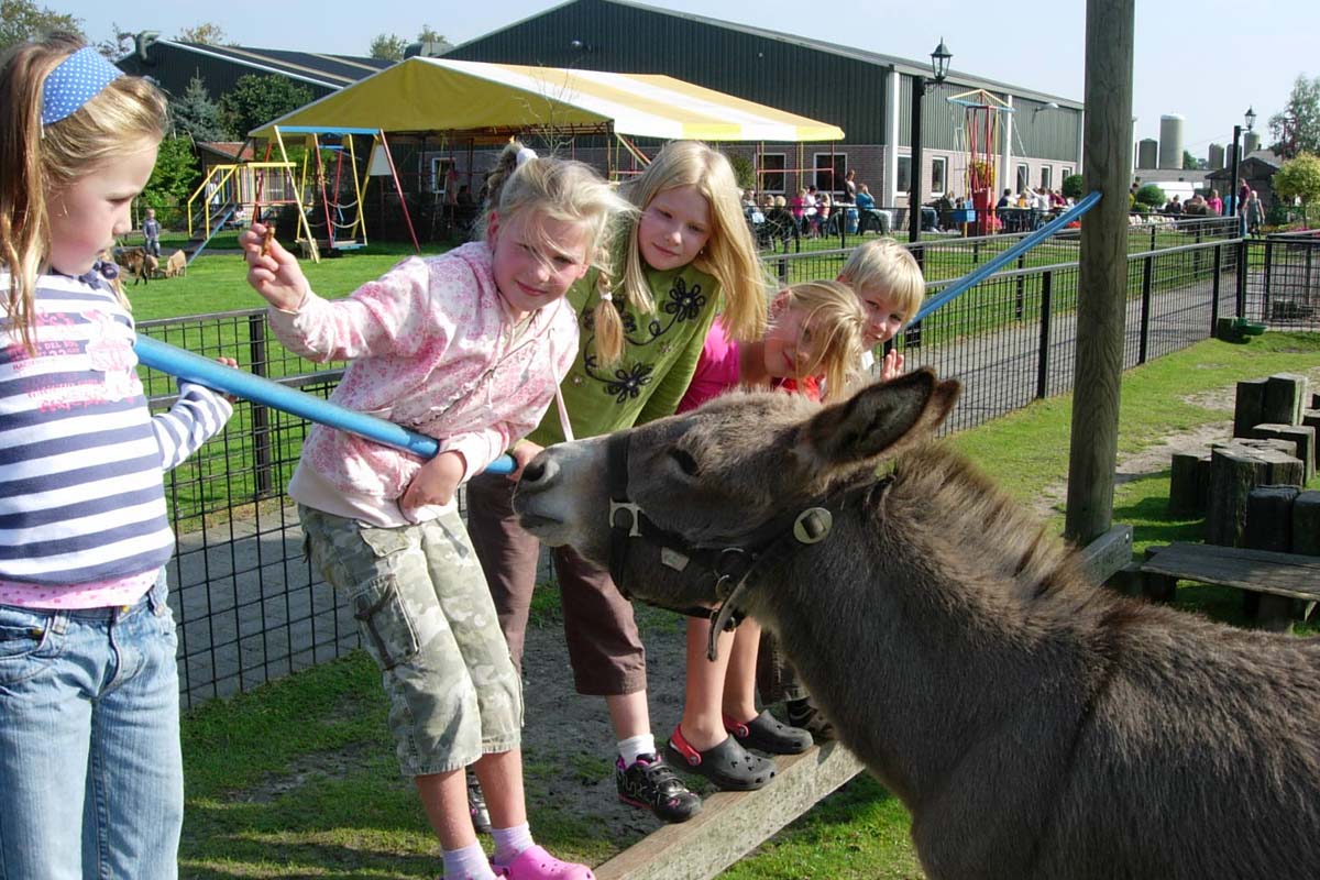 Entreeticket kind van 1 t/m 12 jaar Pukkemuk + chips/ijsje + zakje snoep 
