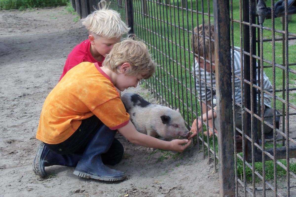 Entreeticket kind van 1 t/m 12 jaar Pukkemuk + chips/ijsje + zakje snoep 