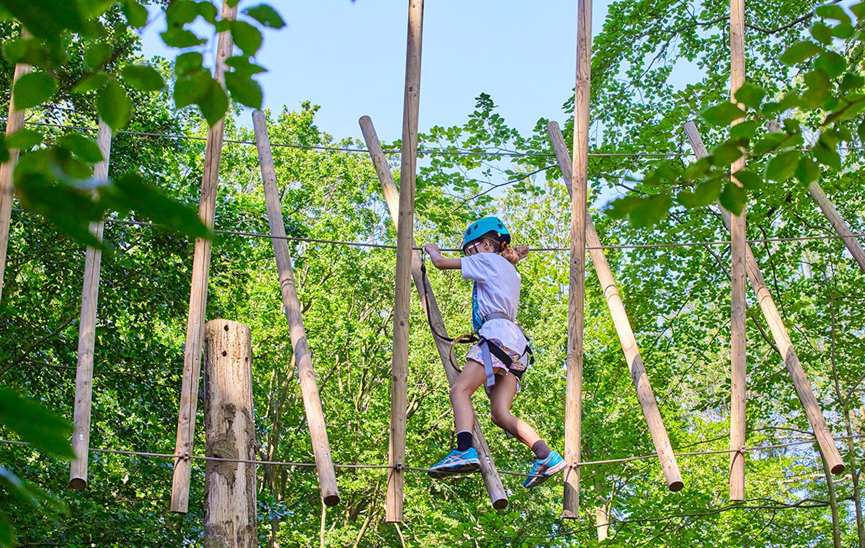 Entreeticket Fun Forest