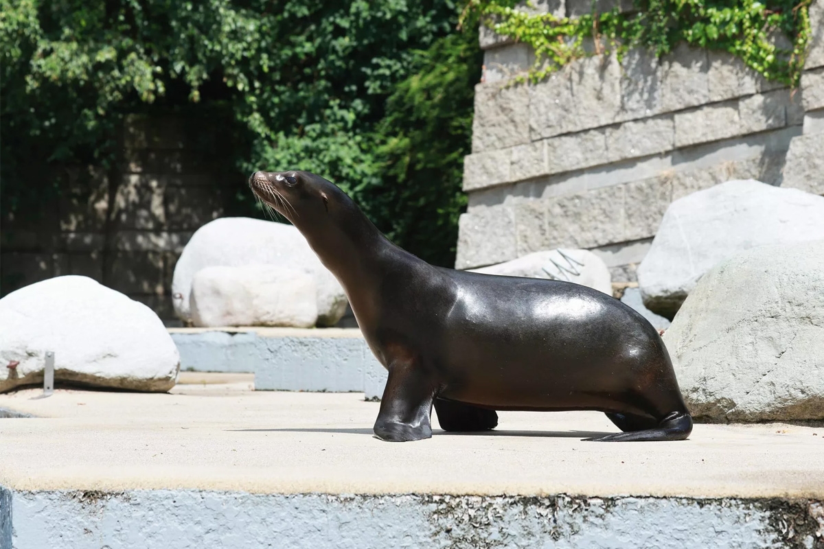 Entreeticket Der Grüne Zoo Wuppertal