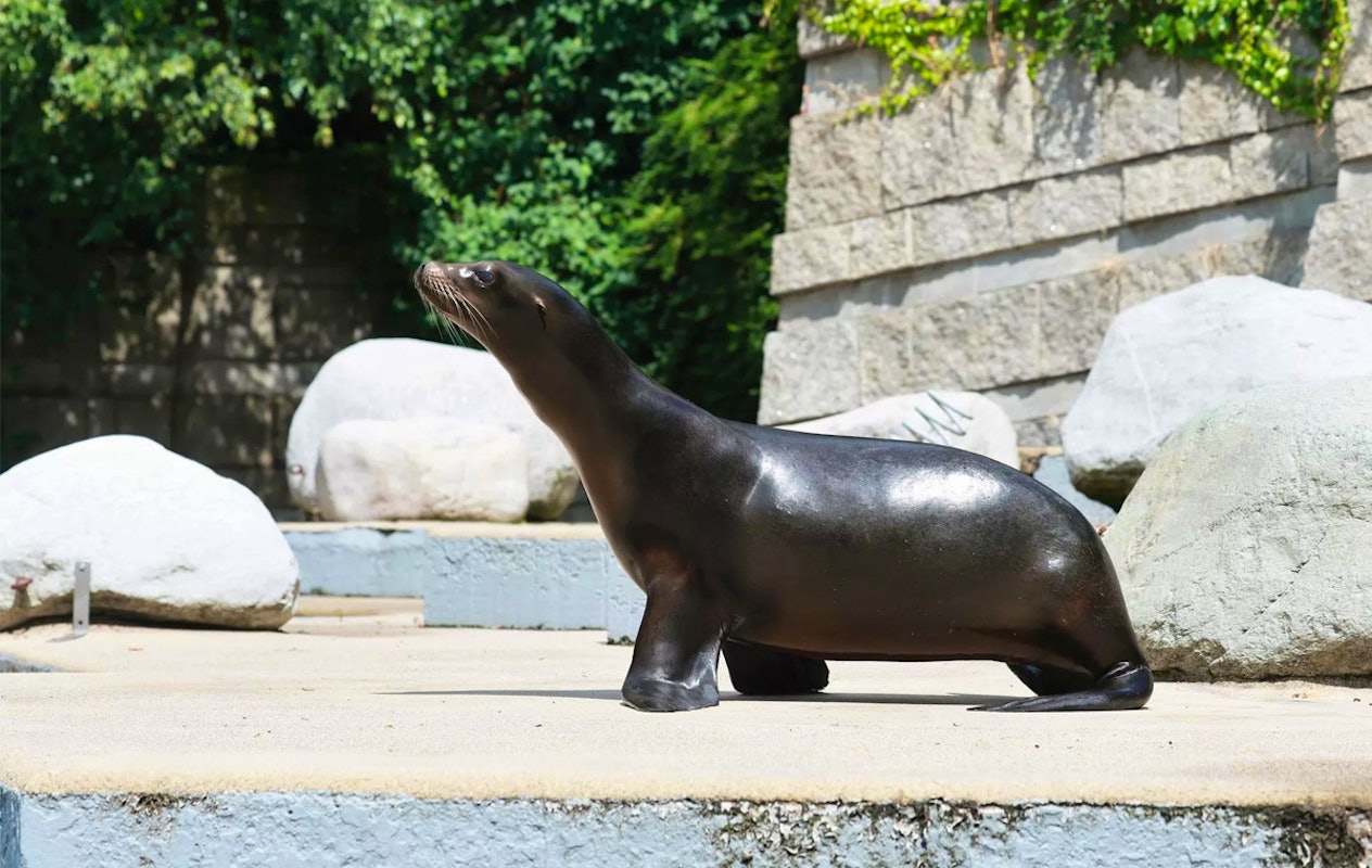 Entreeticket Der Grüne Zoo Wuppertal