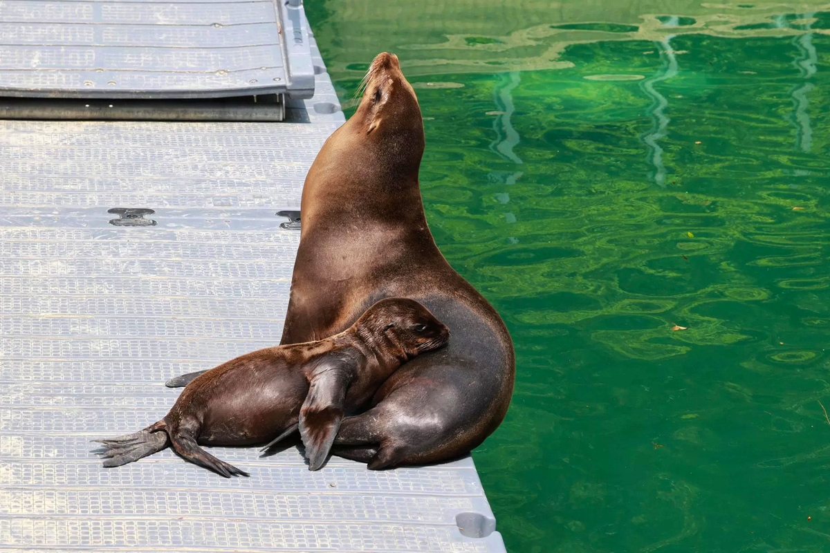 Entreeticket Der Grüne Zoo Wuppertal