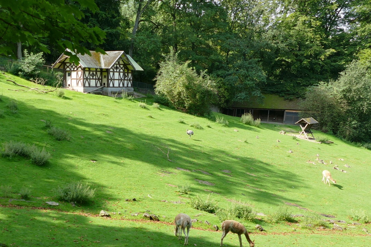 Entreeticket Der Grüne Zoo Wuppertal
