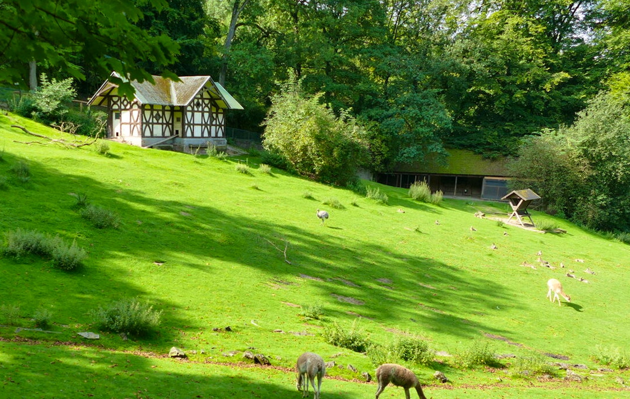 Entreeticket Der Grüne Zoo Wuppertal