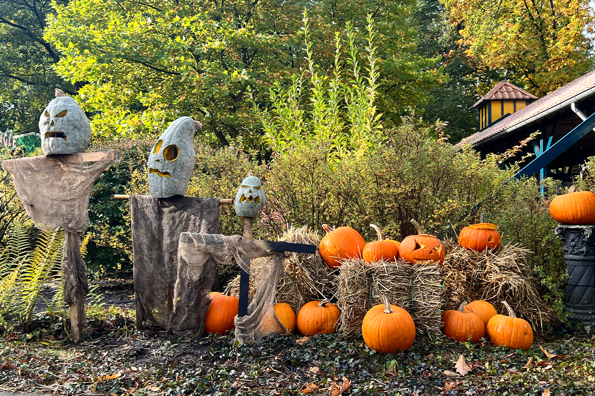 Entreeticket Halloween Drouwenerzand Attractiepark