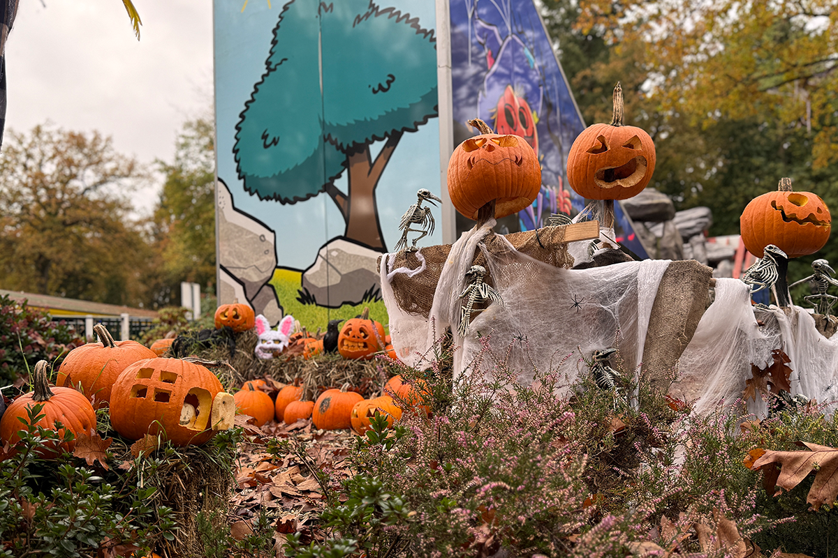 Entreeticket Halloween Drouwenerzand Attractiepark