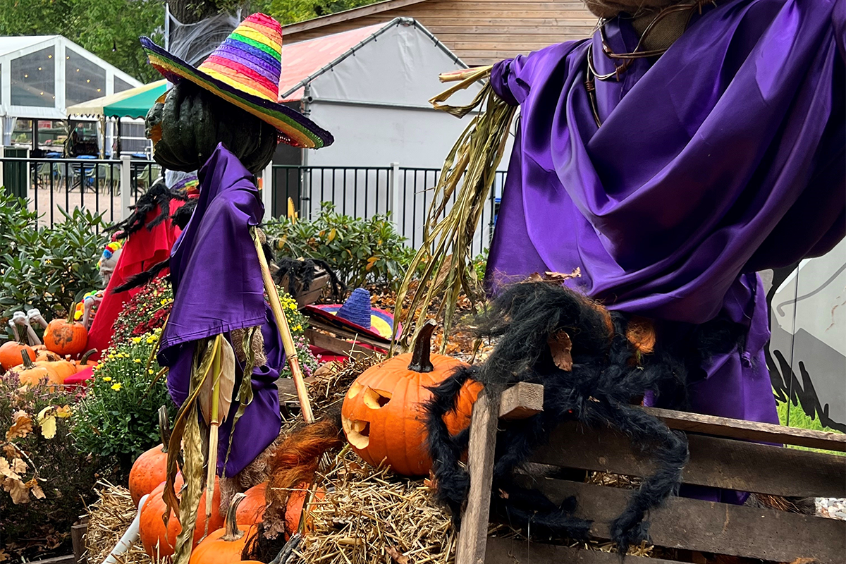 Entreeticket Halloween Drouwenerzand Attractiepark