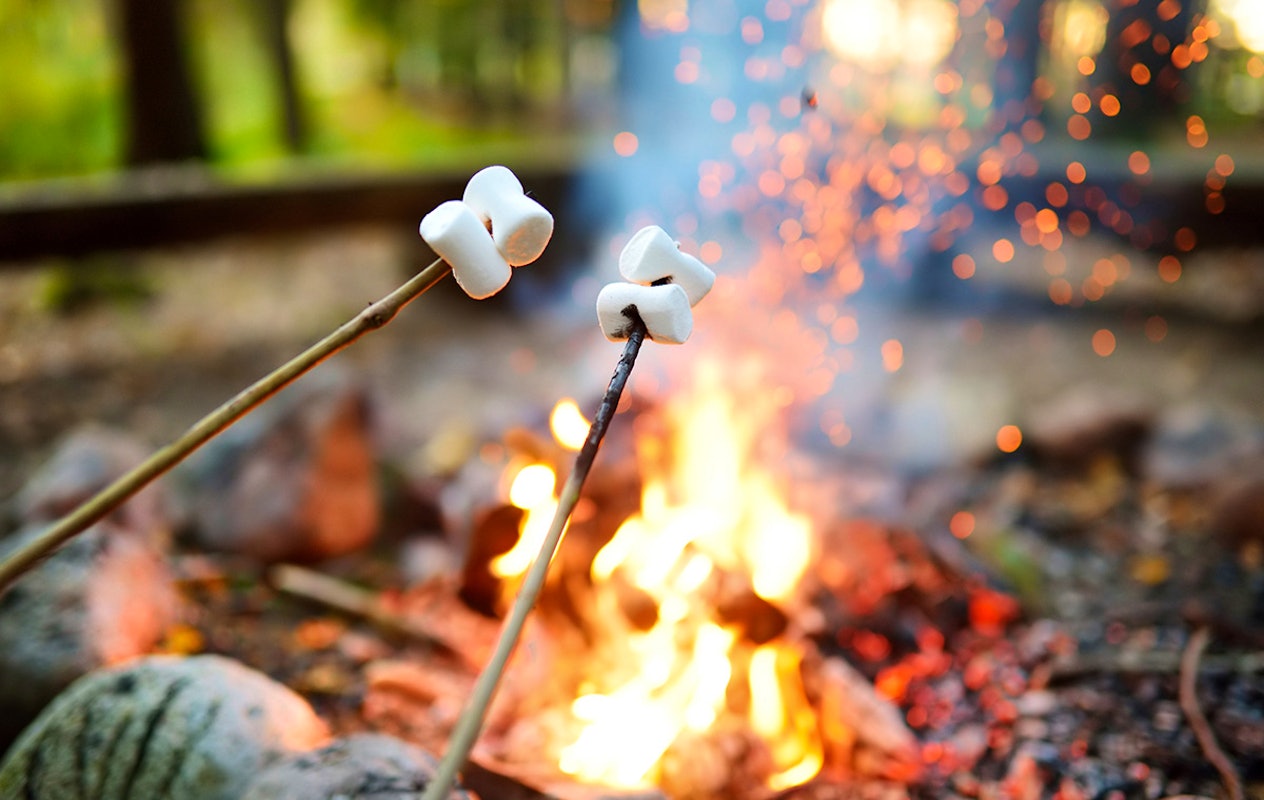 Entreeticket Halloween Drouwenerzand Attractiepark