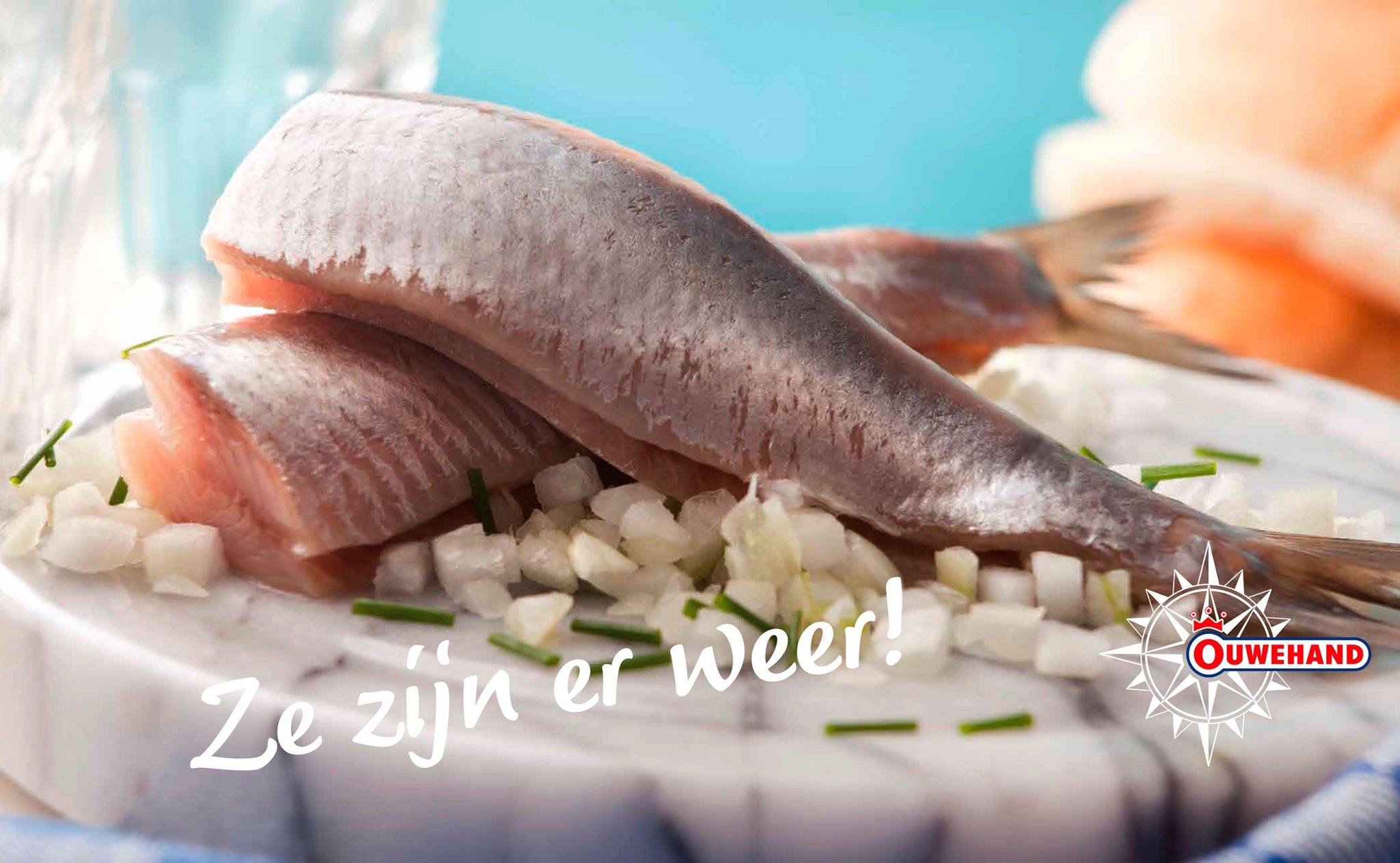 Entreeticket Haringvaart Amsterdamse Zeehaven