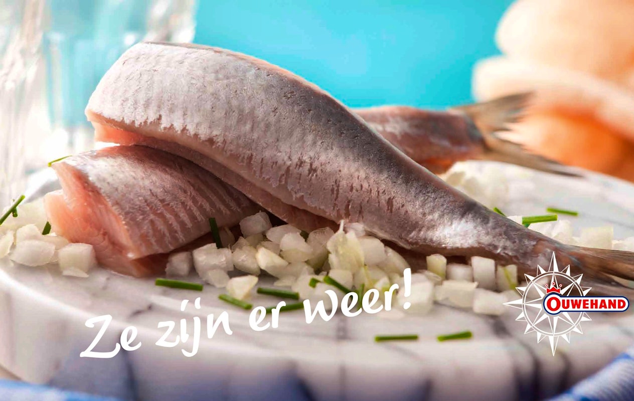 Entreeticket Haringvaart Amsterdamse Zeehaven