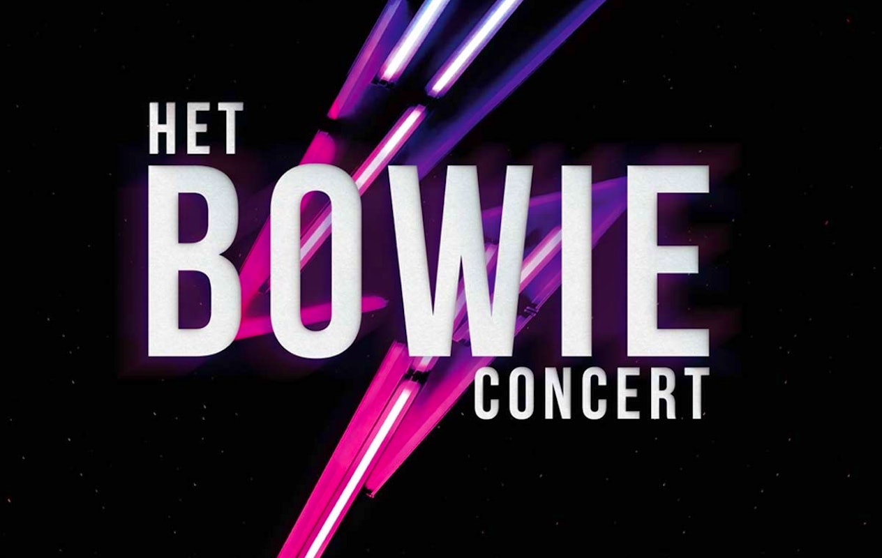 Eerste rang ticket voor Het Bowie Concert