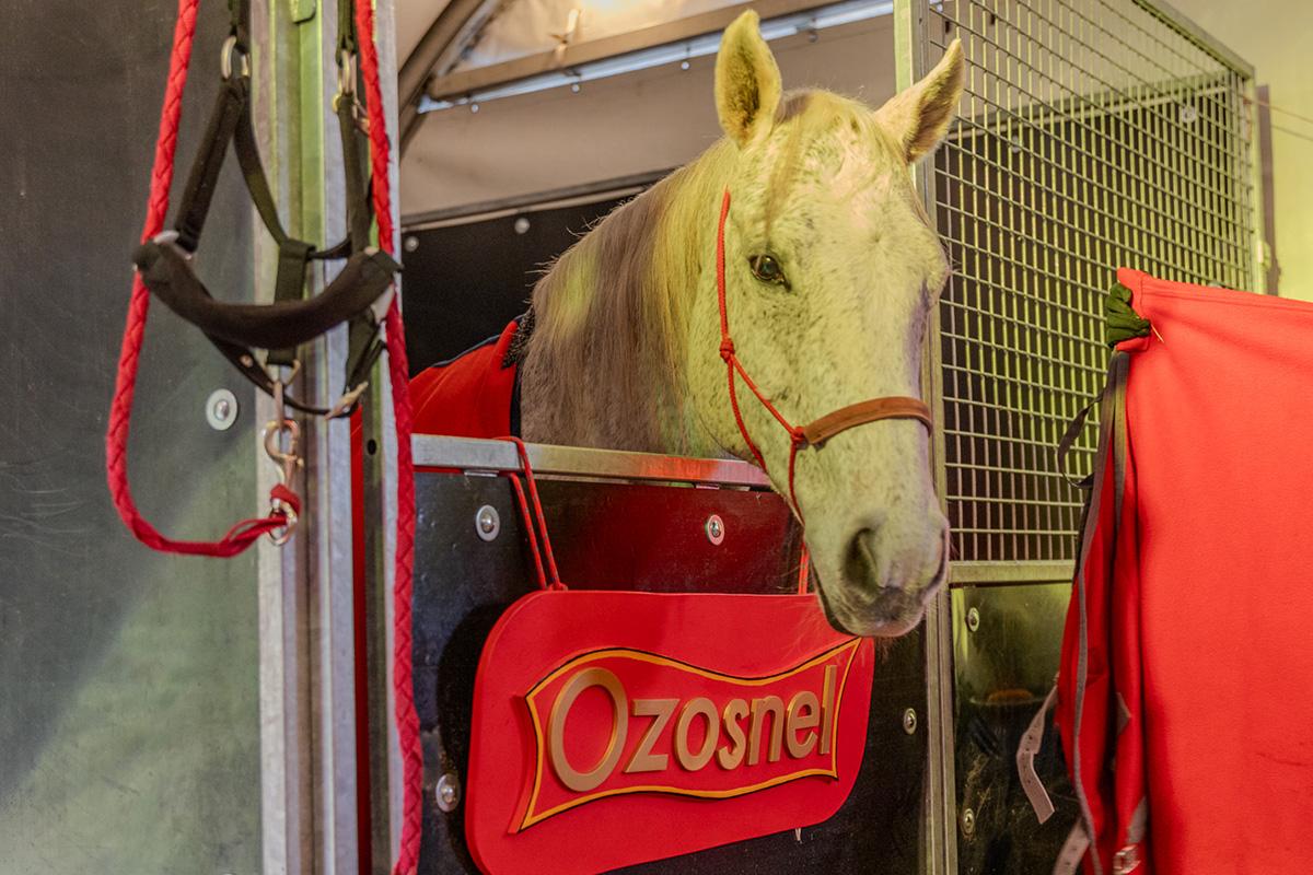 Entreeticket Het Fort van Sinterklaas