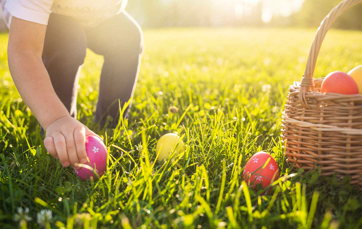 Entreeticket Het Grote Paas Avontuur