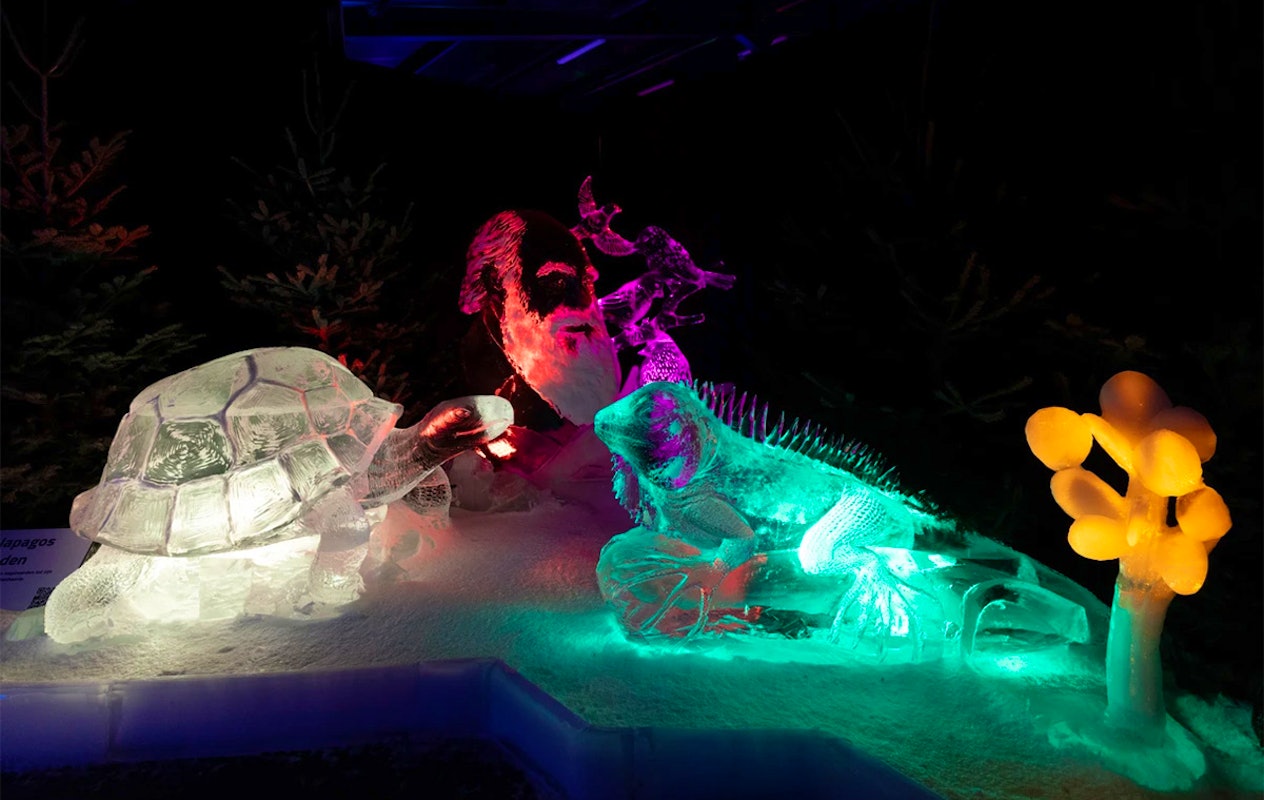 Entreeticket Het Nederlands IJsbeelden Festival