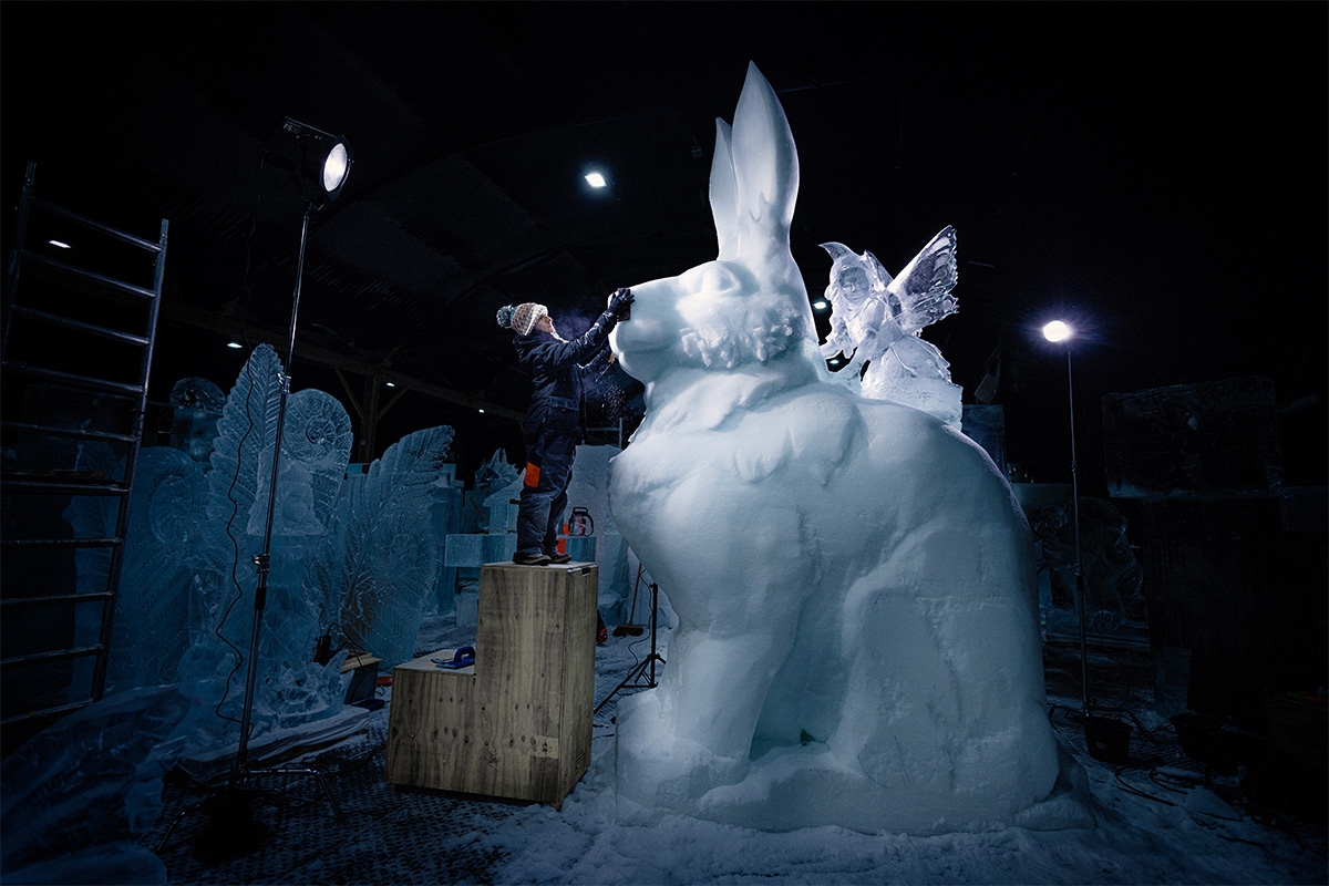 Entreeticket Het Nederlands IJsbeelden Festival