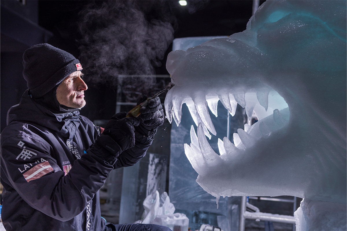 Entreeticket Het Nederlands IJsbeelden Festival