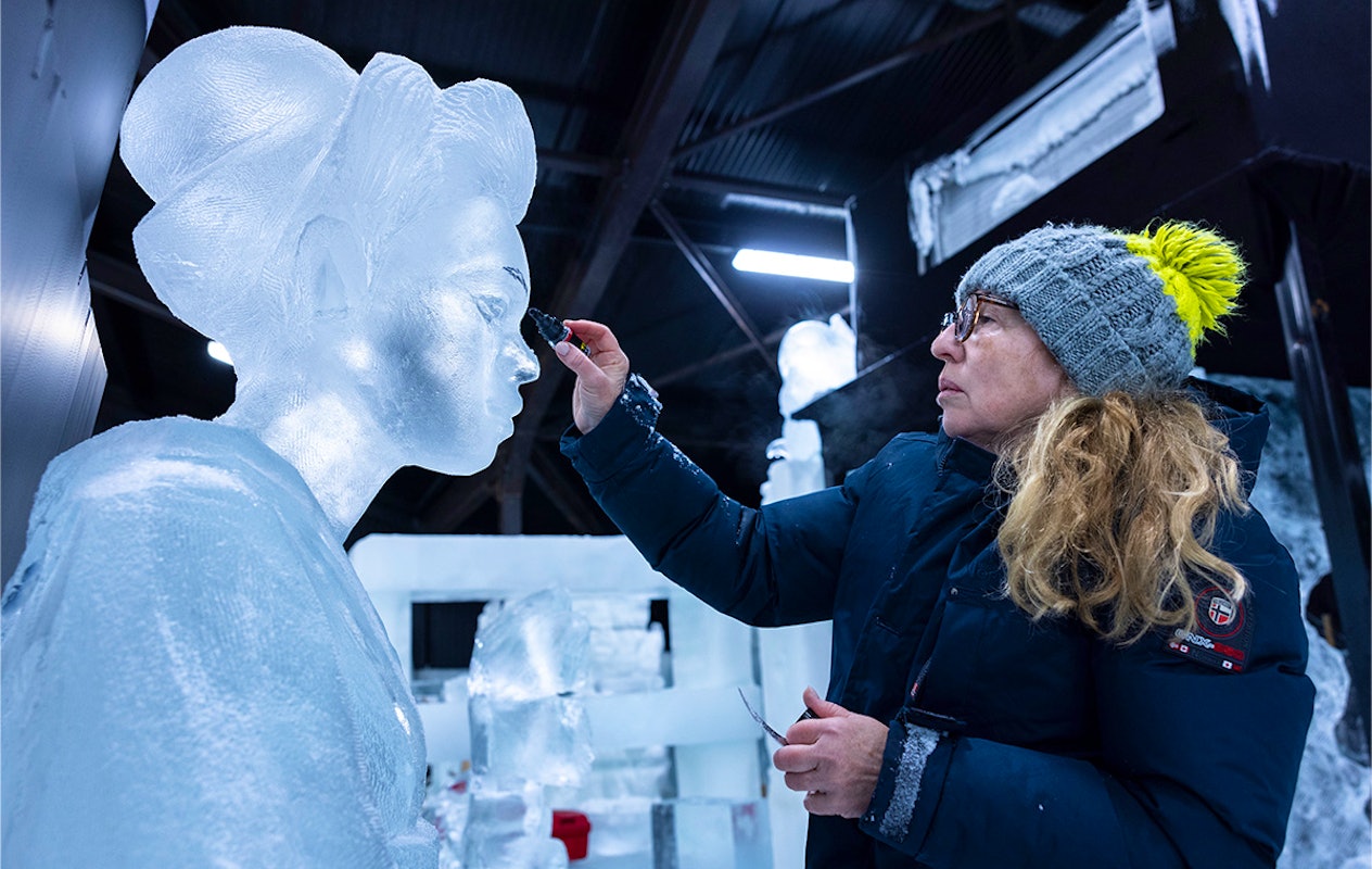 Entreeticket Het Nederlands IJsbeelden Festival