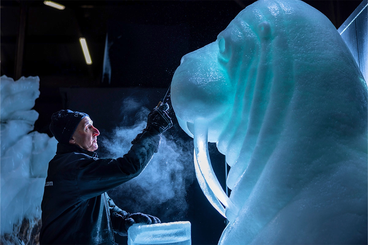 Entreeticket Het Nederlands IJsbeelden Festival