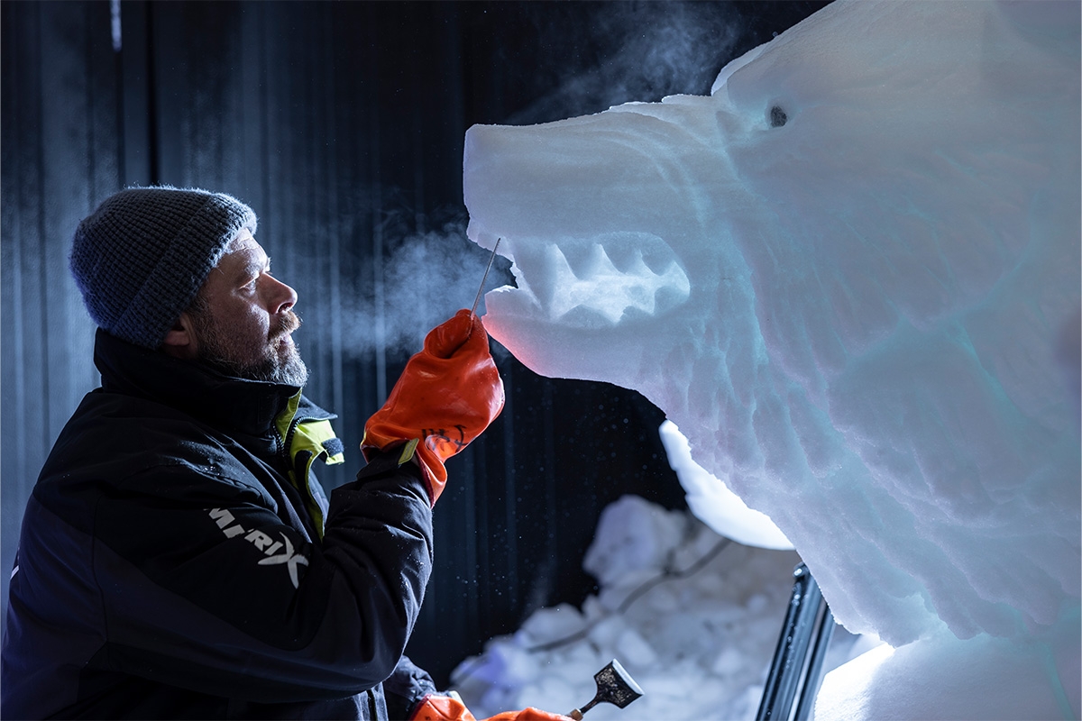 Entreeticket Het Nederlands IJsbeelden Festival