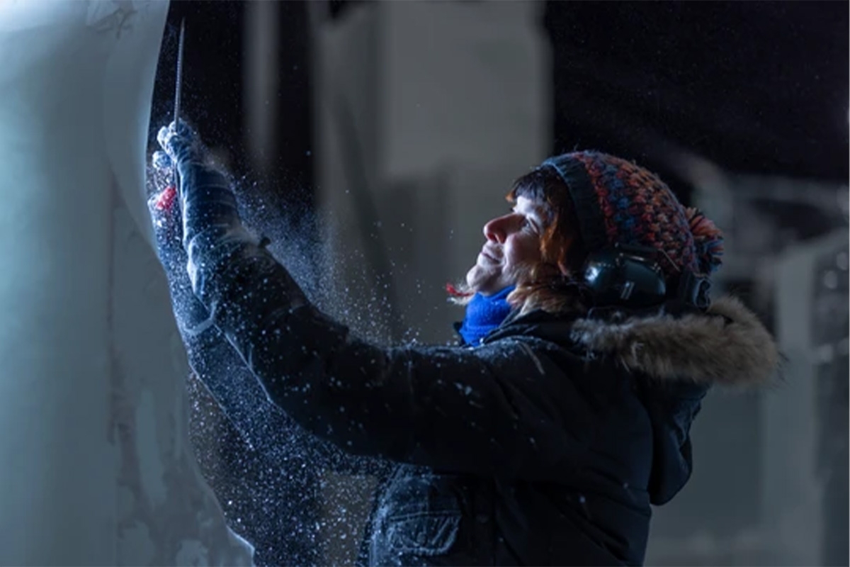 Entreeticket Het Nederlands IJsbeelden Festival