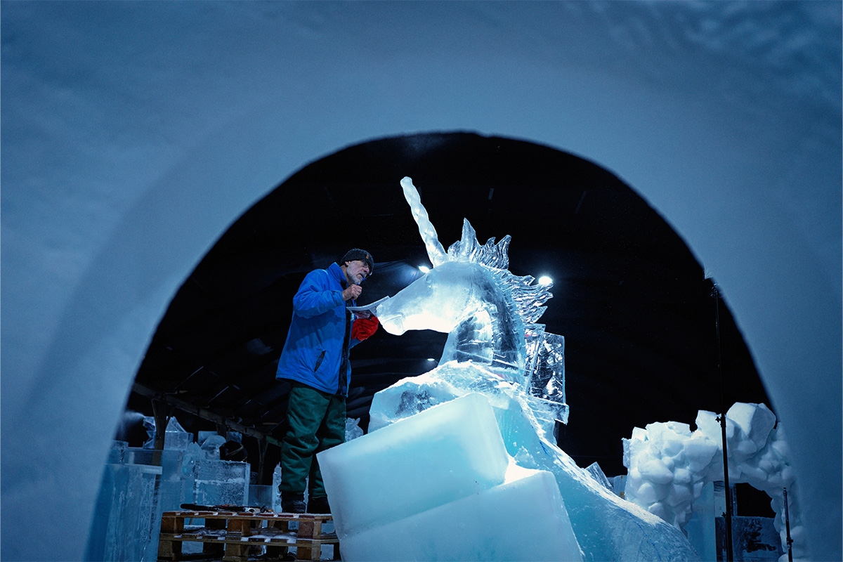 Entreeticket Het Nederlands IJsbeelden Festival