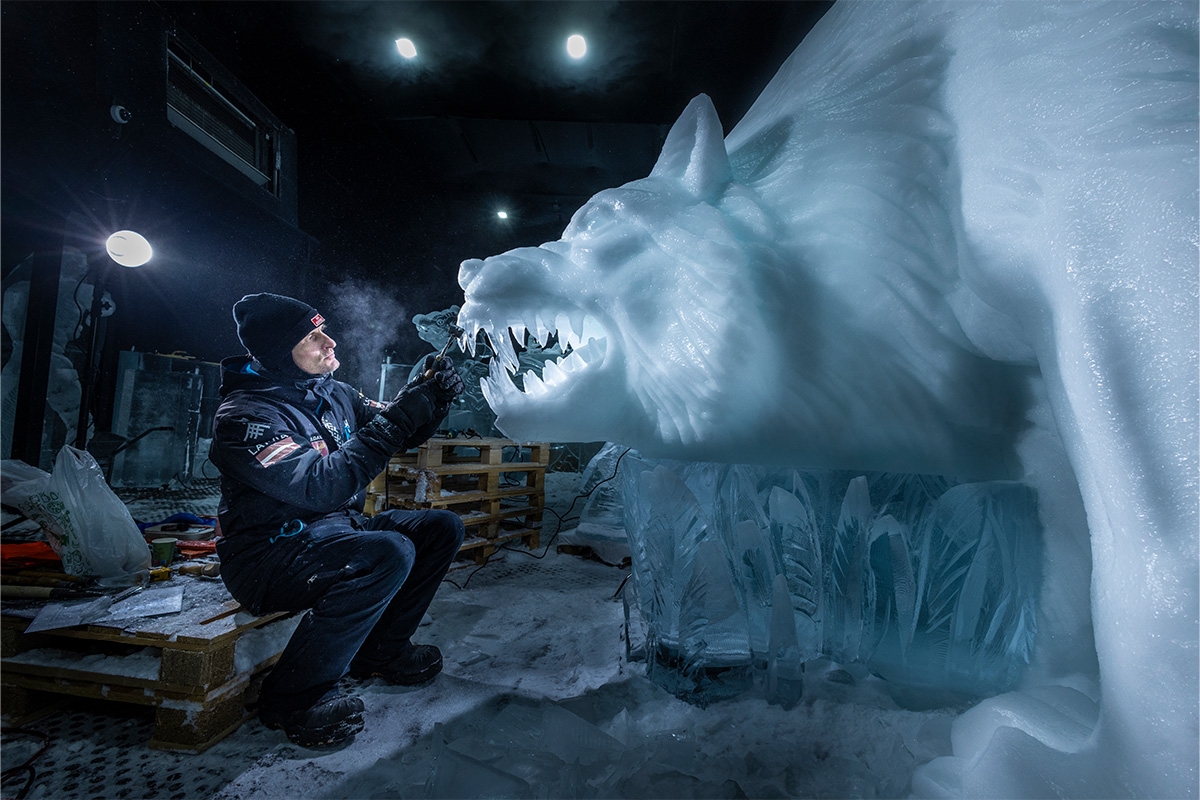 Entreeticket Het Nederlands IJsbeelden Festival