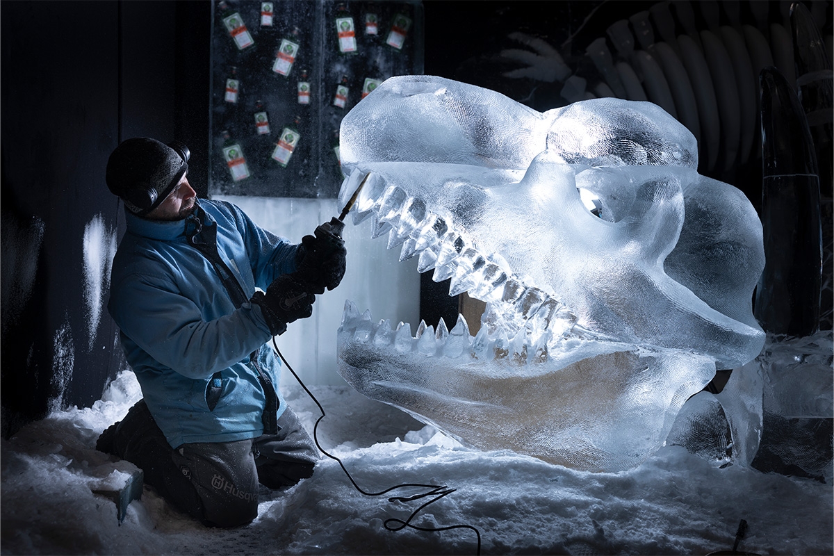 Entreeticket Het Nederlands IJsbeelden Festival